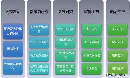 醫(yī)藥研究外包服務(wù)競爭格局與網(wǎng)絡(luò)技術(shù)服務(wù)的融合趨勢分析